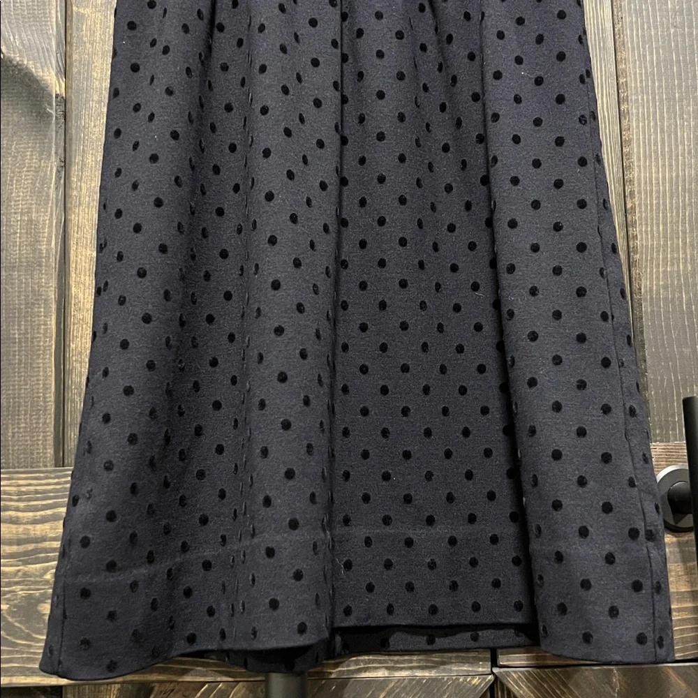 J. Crew Black Velvet Polka Dot Dress‎ S Ponte Preppy Dark Coquette Whimsigoth